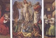 Sandro Botticelli Transfiguration,with St Jerome(at left) and St Augustine(at right) Sweden oil painting artist